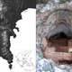 Image for article titled Archaeologists have discovered a "trove" of neanderthal bones in Greece